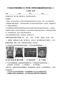 2025年广东省广东实验中学中考二模化学试题(中考模拟)