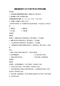 湖南省娄底市2025年初中学业水平联考化学试卷（解析版）
