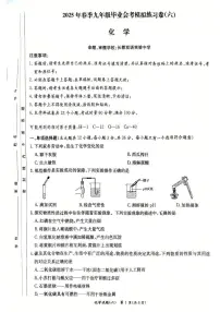 2025年湖南省长沙市长郡教育集团中考模拟化学试卷六（中考模拟）