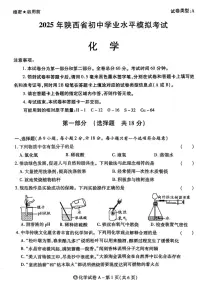 2025年陕西省汉中市初中学业水平模拟考试化学试卷（中考模拟）