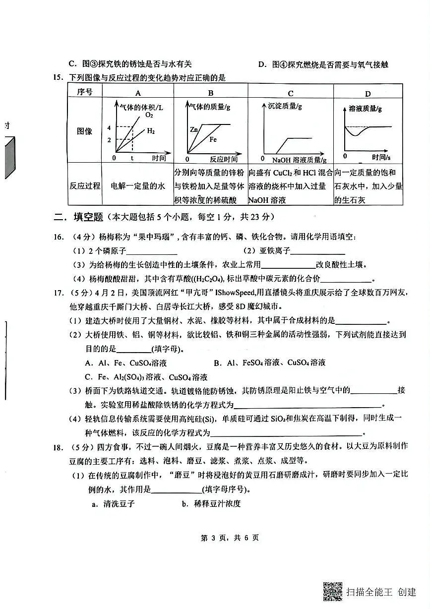 2025年重庆市实验中学教育集团9年级下期中考模拟化学试题 九年级化学试题第3页