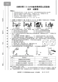 2025年安徽省合肥市第三十八中学教育集团中考信心信息卷化学试题（中考模拟 ）