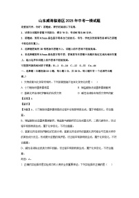 山东威海临港区2025年中考一模化学试卷(解析版)