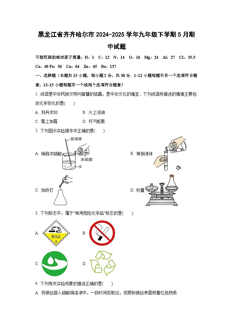 黑龙江省齐齐哈尔市2024-2025学年九年级下学期5月期中化学试卷第1页