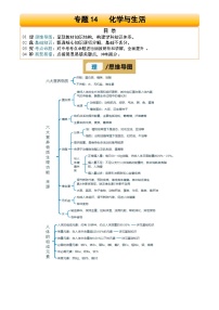 2025年中考化学专项复习讲义专题14 化学与生活(原卷版)