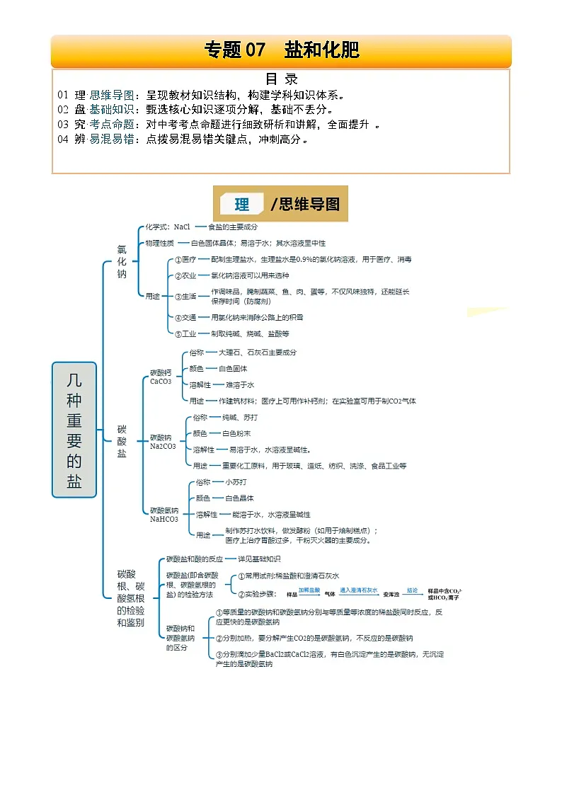 2025年中考化学专项复习讲义专题07 盐和化肥(解析版)第1页