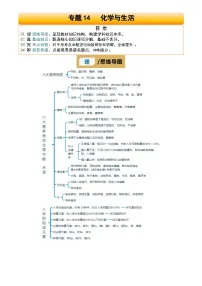 2025年中考化学专项复习讲义专题14 化学与生活(解析版)