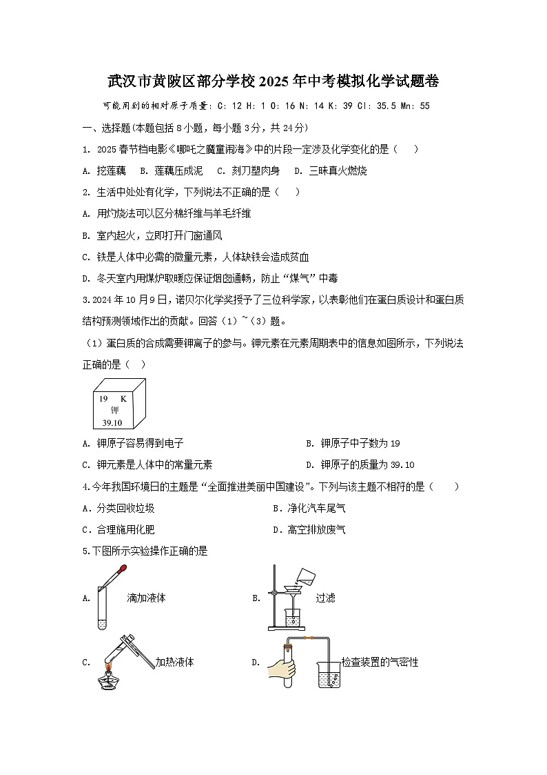 2025年湖北省武汉市黄陂区部分学校中考模拟考试化学试题(中考模拟)第1页