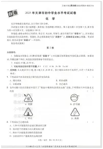 2025《万唯中考•天津黑白卷》化学白卷
