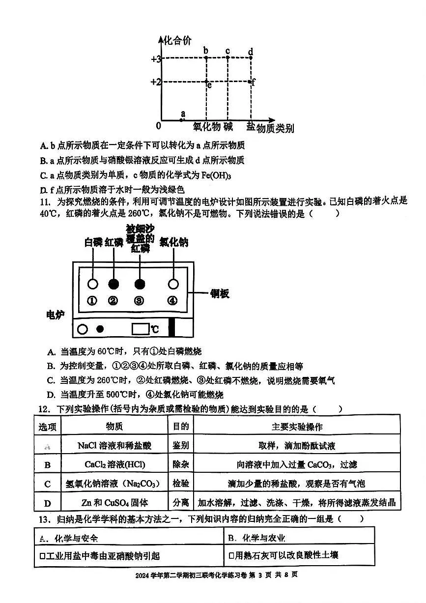 2025年广东省广州市真光学校中考二模化学试卷(中考模拟)第3页