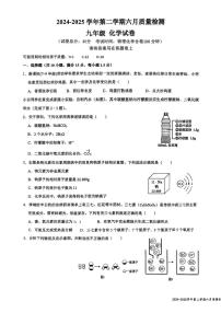 2025年广东省深圳市南山外国语集团中考第三次模拟考试化学试题（中考模拟）