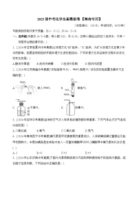 2025届中考化学临考模拟卷 【海南专用】