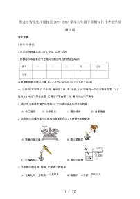 黑龙江绥化绥棱县2024_2025学年九年级第二学期4月月考化学试卷[有答案]