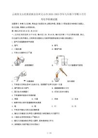 云南文山壮族苗族自治州文山2024_2025学年九年级第二学期3月月考化学试卷[有答案]