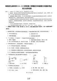 2025年广东省珠海市九洲中学九年级第三次模拟考试化学试卷(中考模拟)