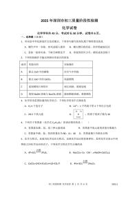 2025年深圳市多校初三中考模拟质量阶段性检测化学试卷含答案