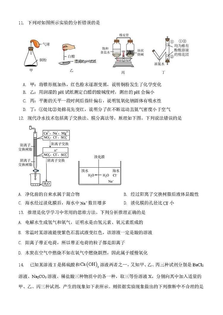 2025年初中适应性训练化学试题第3页