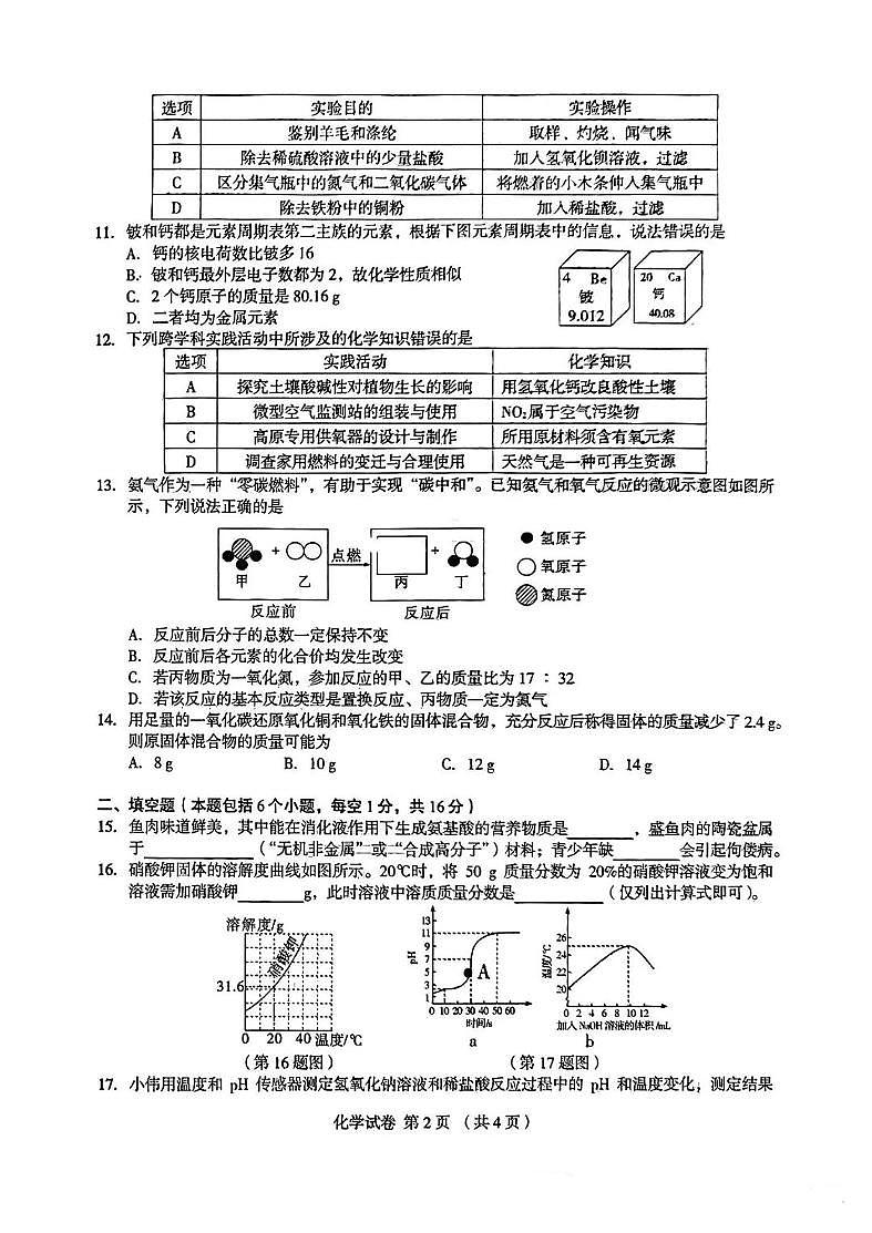 河南省郑州市外国语学校2025年中考招生三模化学试卷(PDF版,无答案)第2页