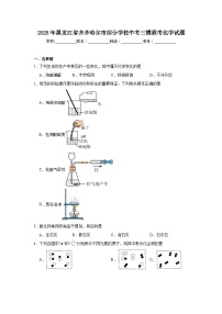 2025年黑龙江省齐齐哈尔市部分学校中考三模联考化学试题（附答案解析）