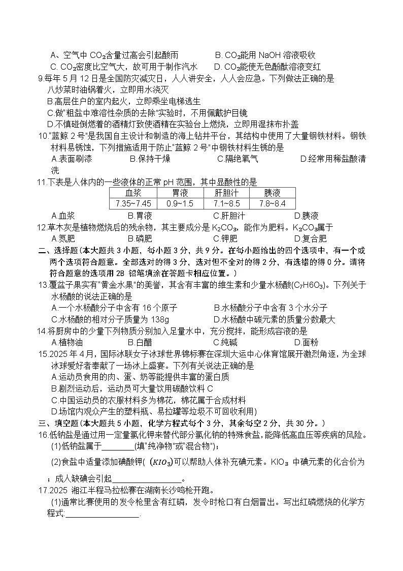 2025年长沙市初中学业水平考试模拟试卷化学试题第2页