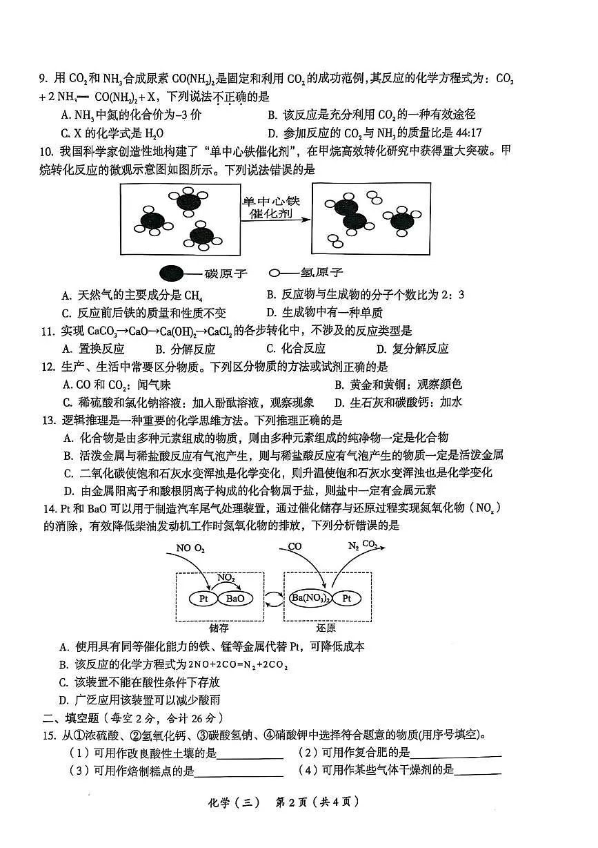 2025年海南省乐东县民族中学中考三模化学试题(中考模拟)第2页