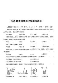 2025年河南省驻马店市遂平县文城中学、二中联考中考三模化学试题（中考模拟）