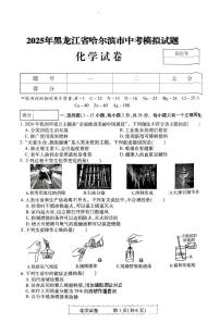 2025年黑龙江省齐齐哈尔市中考模拟化学试题（中考模拟）
