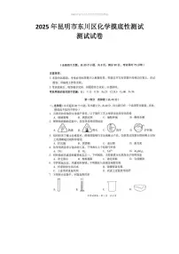 2025年云南省昆明市东川区中考三模化学试题(中考模拟)