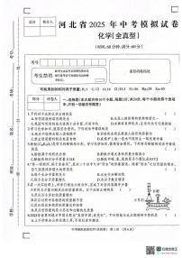 河北省邢台市南宫市联考2024-2025学年九年级下学期6月期末化学试题