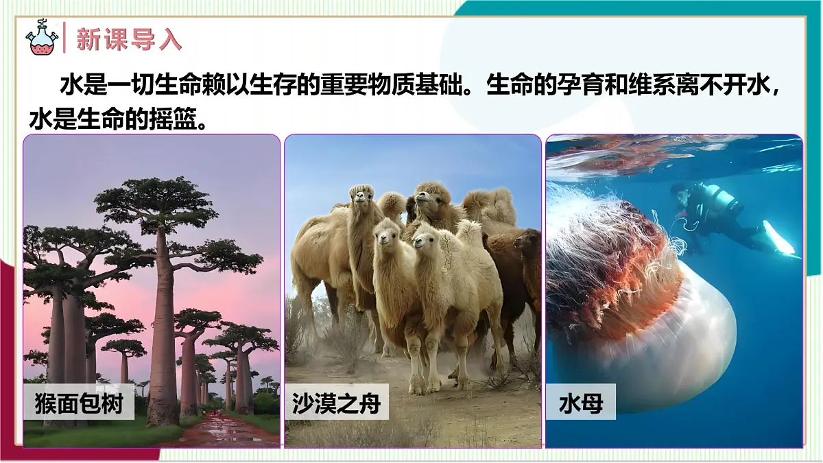 人教版化学2024 九年级上册 第四单元 课题1 水资源及其利用 第一课时(同步课件)第3页