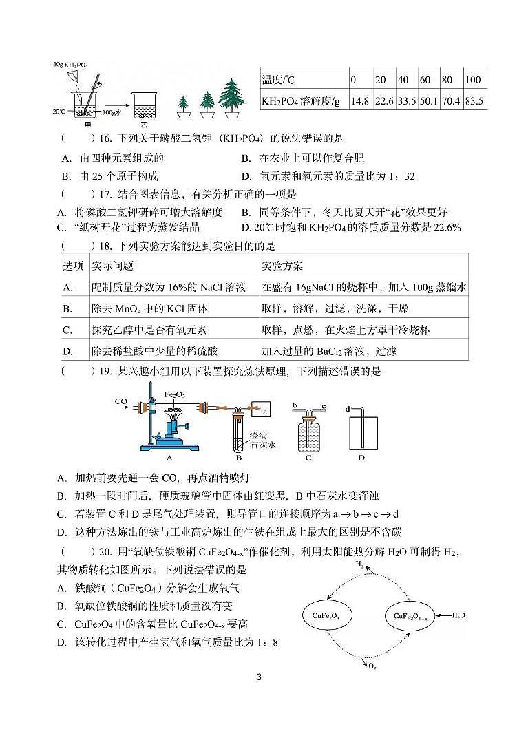 2025年江苏省扬州市梅岭集团中考三模化学试题(中考模拟)第3页