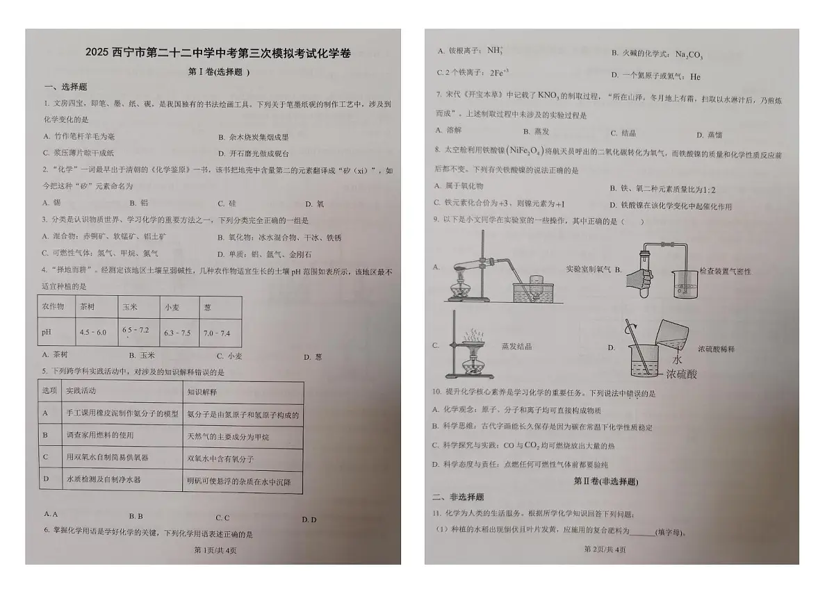 2025年青海省西宁市第二十二中学中考第三次模拟考试化学卷(中考模拟)第1页
