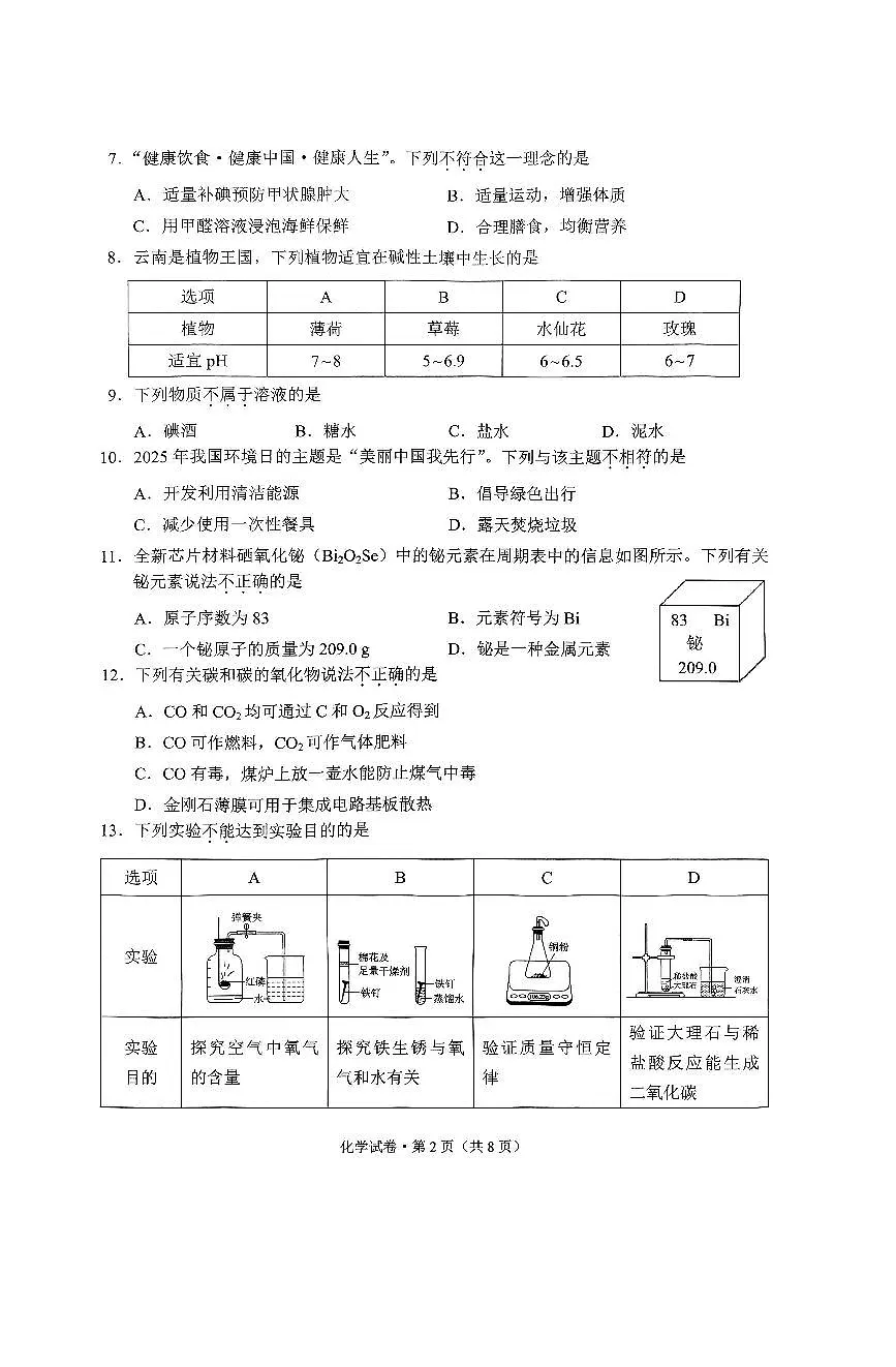2025年云南省初中学业水平考试化学试卷(含答案)第2页