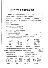 2025年河南省周口市川汇区周口市第一初级中学、第二初级中学中考模拟化学试题（中考模拟）