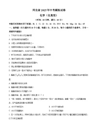 河北省邢台市南宫市联考2024-2025学年九年级下学期6月期末化学试题