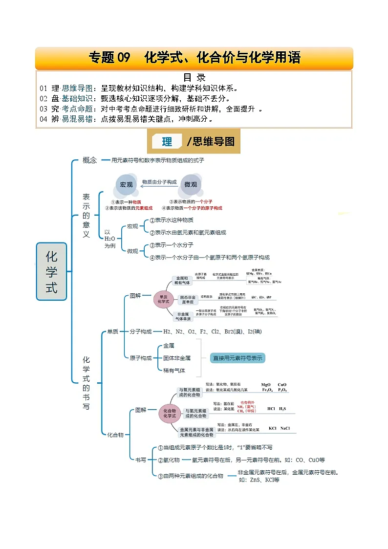 专题09 化学式、化合价与化学用语(原卷版)第1页