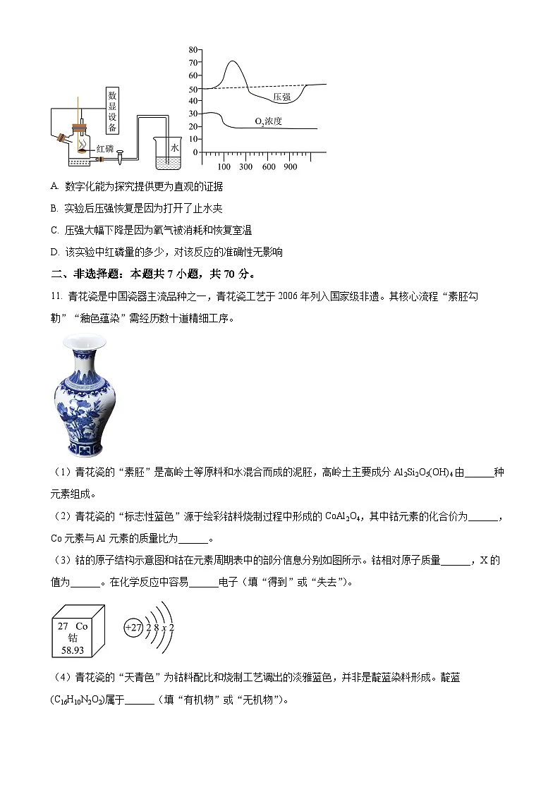 2025年福建省厦门市外国语学校中考三模化学试卷(中考模拟)第3页