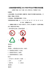 云南省昭通市昭阳区2025年初中学业水平模拟考试化学试卷（解析版）