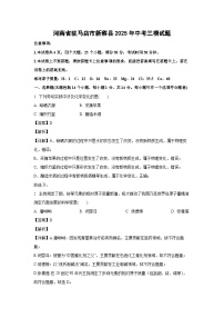 河南省驻马店市新蔡县2025年中考三模化学试卷（解析版）