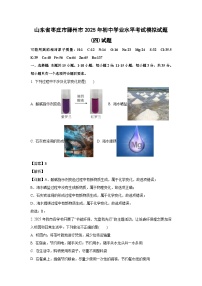 山东省枣庄市滕州市2025年初中学业水平考试模拟(四)化学试卷（解析版）