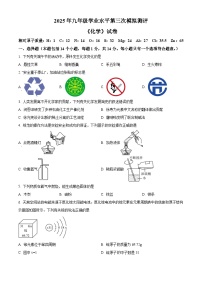 河南省新乡市河南师范大学附属中学2025届中考三模 化学试题