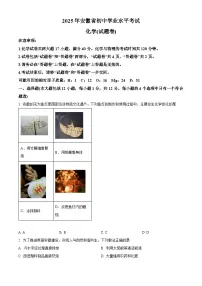安徽省马鞍山市部分校2025届中考三模 化学试题