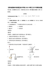 甘肃省陇南市武都区部分学校2025年第三次中考模拟化学试卷（解析版）