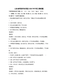 山东省菏泽市东明县2025年中考三模化学试卷(解析版)