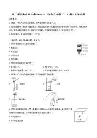 辽宁省铁岭市西丰县2024-2025学年九年级（上）期末化学试卷
