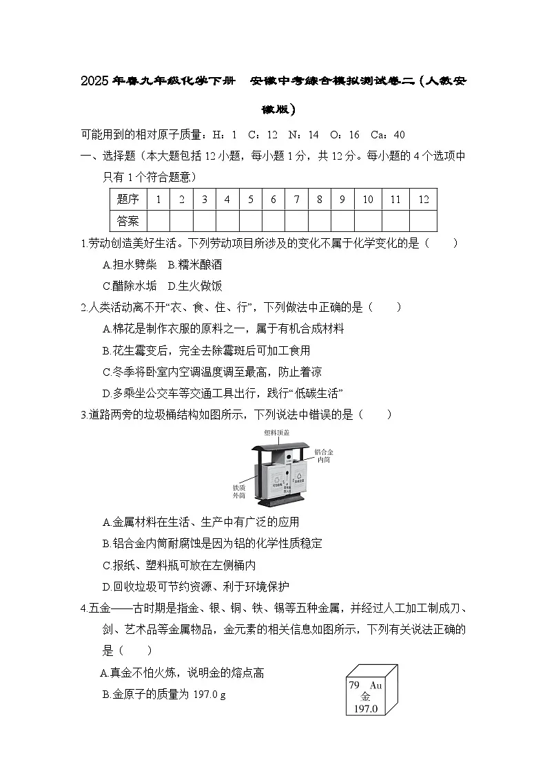 2025年春九年级化学下册 安徽中考综合模拟测试卷二(人教安徽版)第1页
