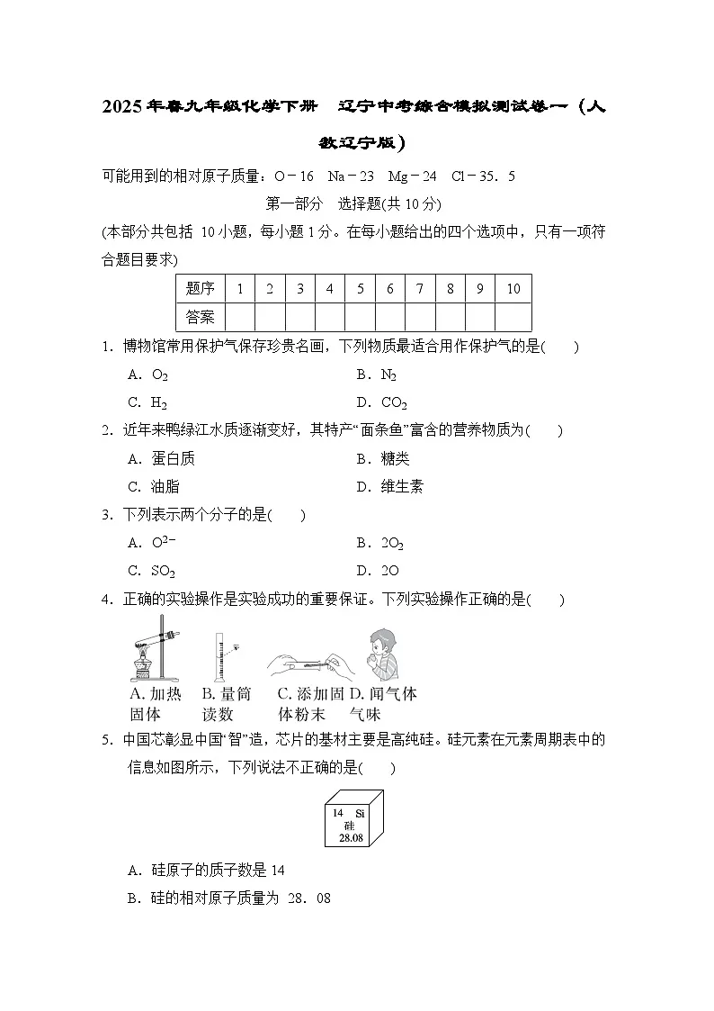 2025年春九年级化学下册 辽宁中考综合模拟测试卷一(人教辽宁版)第1页