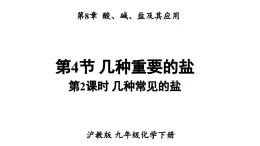 滬教版(2024)化學(xué)九年級(jí)下冊(cè) 8.4 幾種重要的鹽 第2課時(shí) 幾種常見的鹽 （課件）
