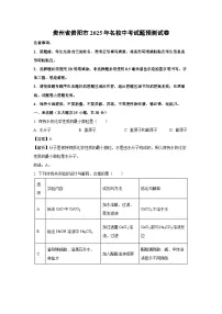 贵州省贵阳市2025年名校中考模拟预测化学试卷（解析版）
