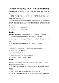 湖北省黄石市石灰窑区2025年中考第三次模拟考试化学试卷（解析版）